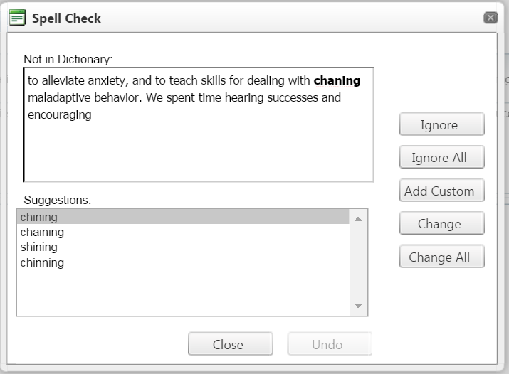 Spell Check Window Field Definitions
